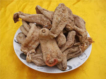  ôԲź